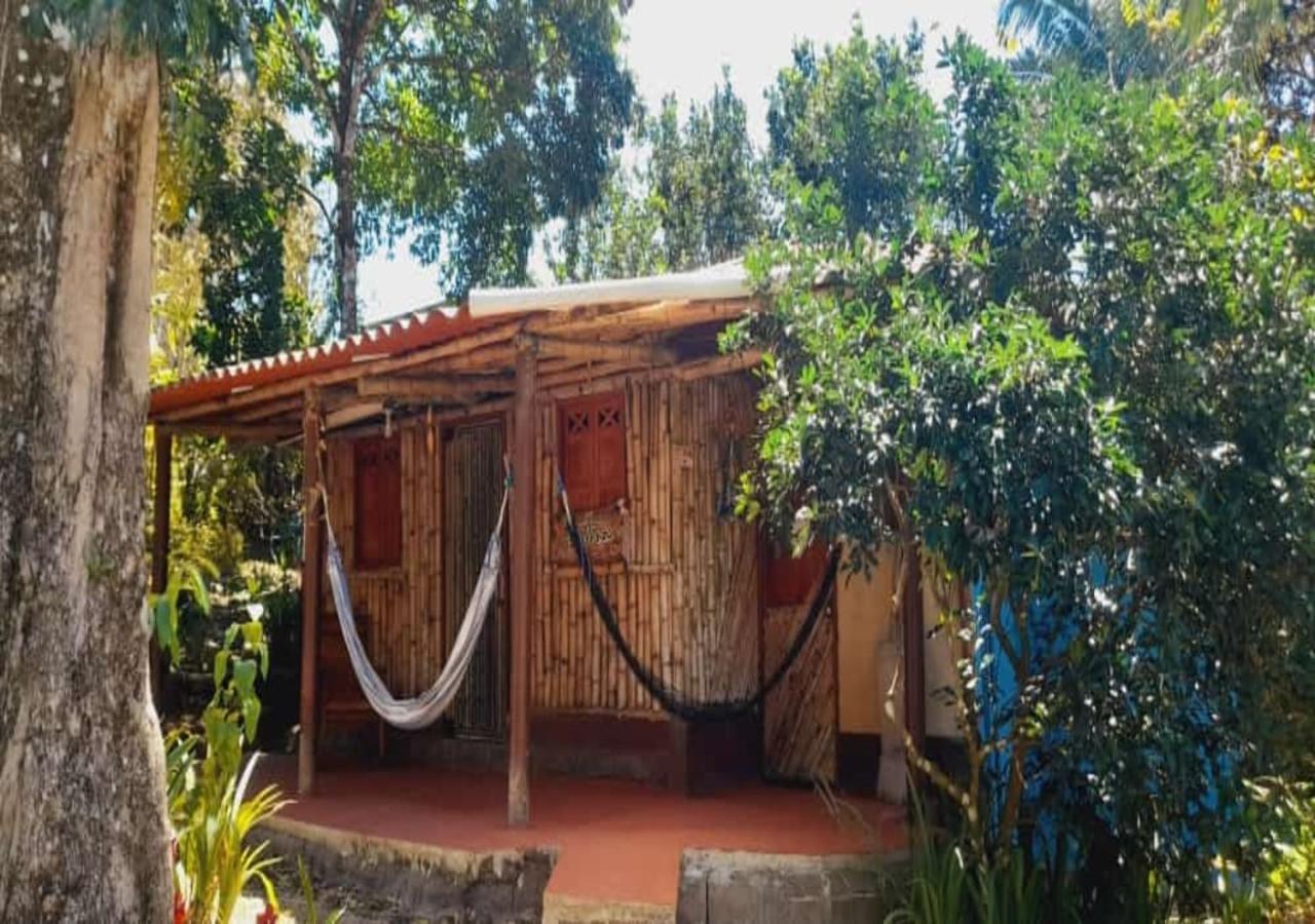 Hostal Familiar El Angel Panama B&B Pajonal Arriba Exteriör bild