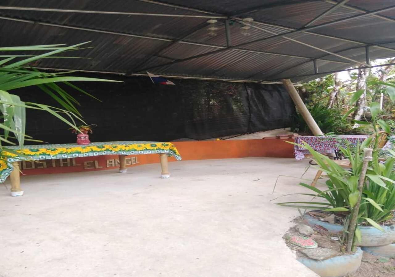 Hostal Familiar El Angel Panama B&B Pajonal Arriba Exteriör bild