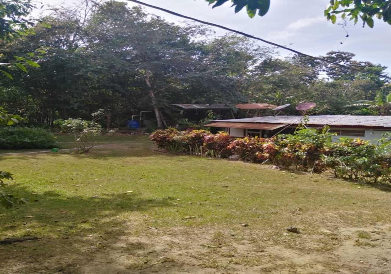 Hostal Familiar El Angel Panama B&B Pajonal Arriba Exteriör bild