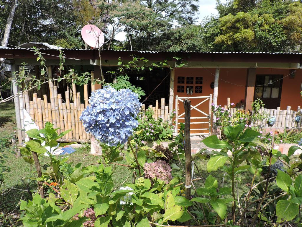 Hostal Familiar El Angel Panama B&B Pajonal Arriba Exteriör bild