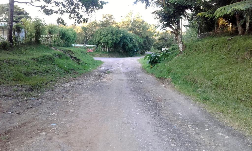 Hostal Familiar El Angel Panama B&B Pajonal Arriba Exteriör bild