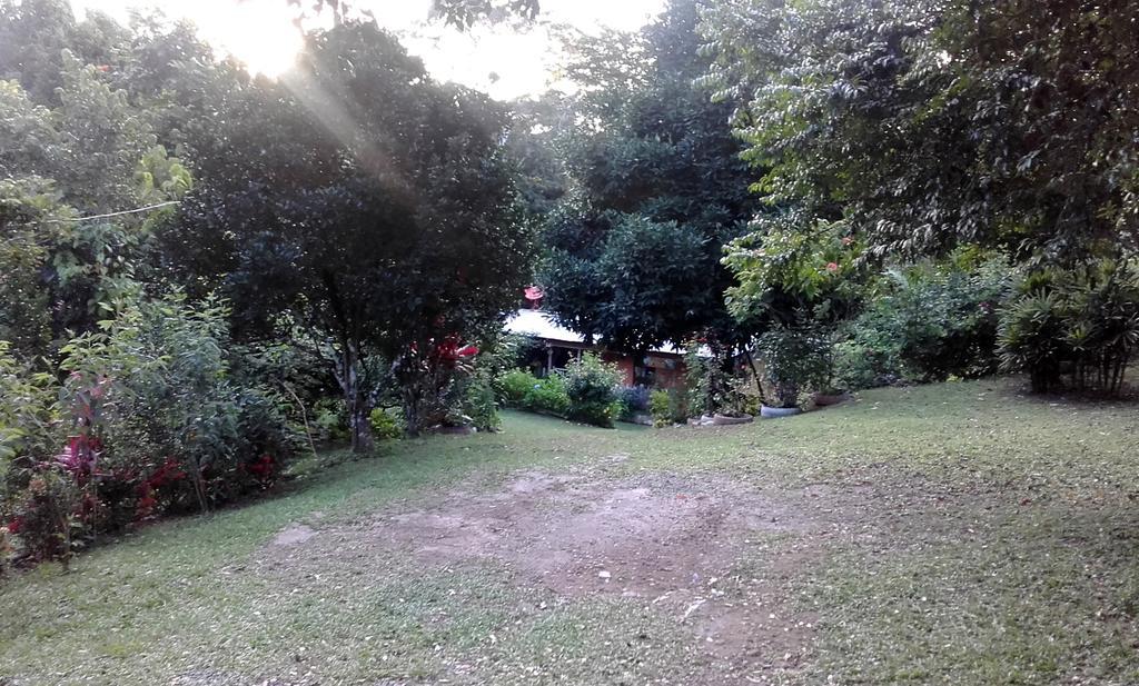 Hostal Familiar El Angel Panama B&B Pajonal Arriba Exteriör bild