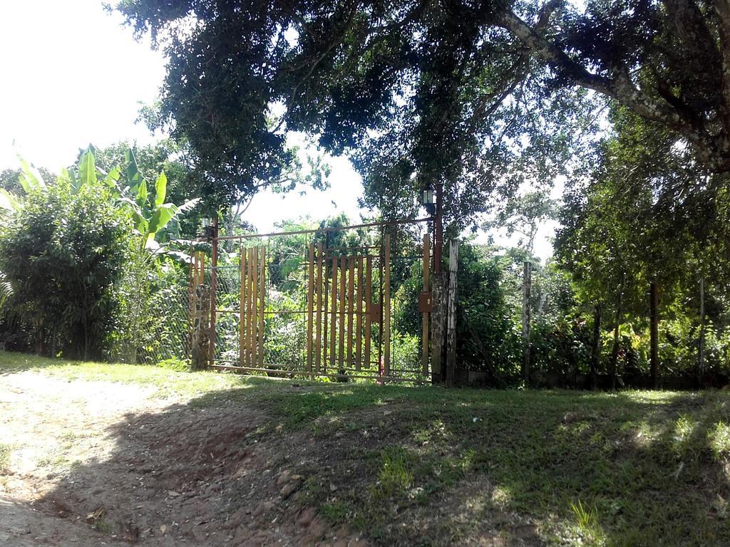 Hostal Familiar El Angel Panama B&B Pajonal Arriba Exteriör bild