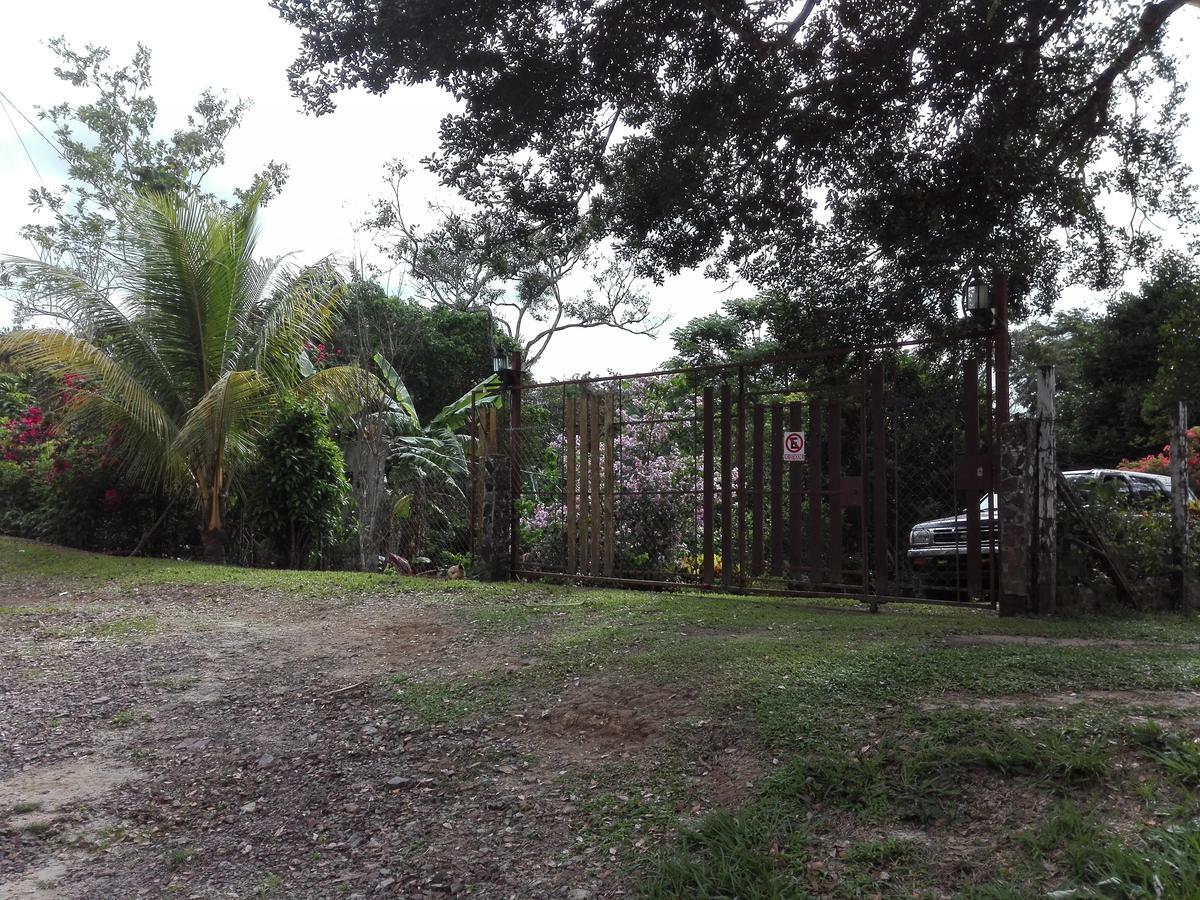 Hostal Familiar El Angel Panama B&B Pajonal Arriba Exteriör bild